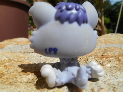 LPS Littlest petshop pet shop chien chat européen colley cat dog rare accessoire - Imagen 114 de 243