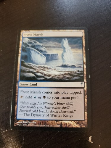Magic the Gathering MTG Coldsnap FROST MARSH m5 - 第 1/2 張圖片