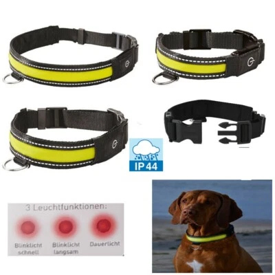 ZOOFARI Leuchthalsband LED Hundehalsband Blinkende Lichter Band für S - L USB Aufladbar