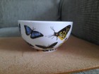 Bild 11 von 17