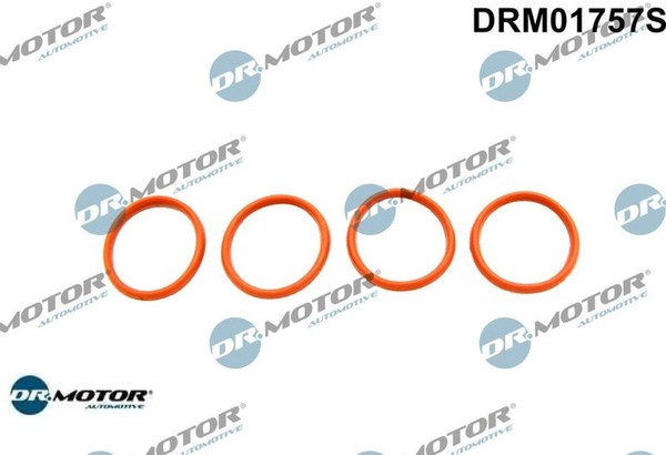 Dr.Motor Automotive DRM01757S Dichtungssatz FüR AnsaugkrüMmer-image