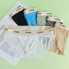 Men Ice Silk Seamless Briefs High Fork Bulge Pouch Sheer Low Rise Underwear