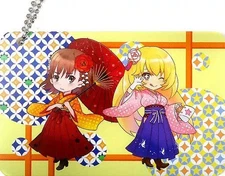 Misaka Mikoto Miyo Japanese Slide Card Case A Certain Scientific Railgun  T