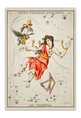 SIDNEY HALL Gloria Frederici Andromeda 1831 Astronomical Chart 19x13'' Print