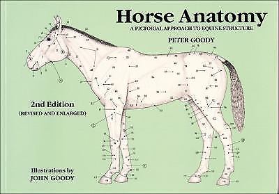 Horse Anatomy : A Pictorial Approach to Equine Structure by Peter Goody... - Imagen 1 de 1