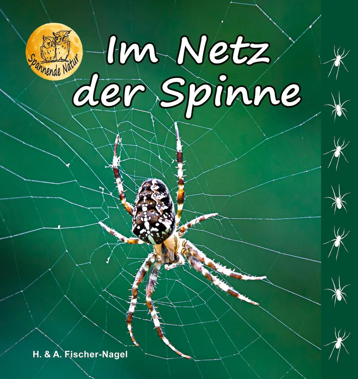 Thumbnail - Netz Der Spinne Heiderose Fischer-nagel