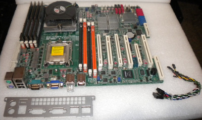 ASUS KCMA-D8 Dual AMD C32 DDR3 Motherboard/Combo