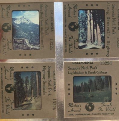 Color Film Slides Sequoia National Park Winter Armchair Travel Nature Trees