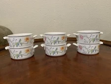 Villeroy & Boch Albertina Floral Cream Soup Bowl 4.25 x 2" Double Handle 6 Set