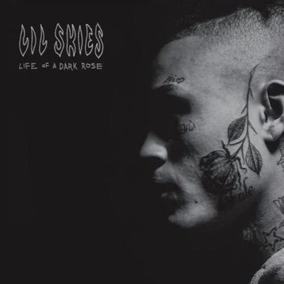 LIL SKIES: LIFE OF A DARK ROSE - LP Vinyl *NEU*