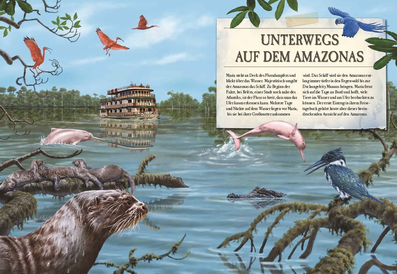 Thumbnail - Verborgene Welt Des Regenwaldes Kristina Scharmacher-schreiber