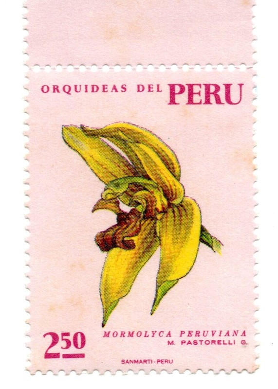 Orchids: Peruvian Flora MORMOLYCA PERUVIANA, S/. 2.50, Perú 1971, accept offers