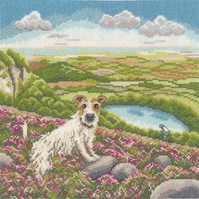 Ein Tierarzt und sein Hund Kreuzstich-Set ~ Bothy Threads