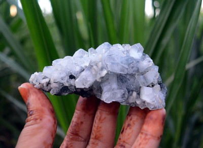 apophyllite w/ chalcedony matrix minerals specimen m-3