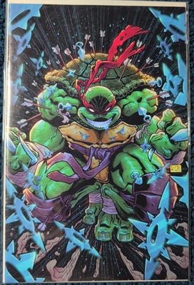 Teenage Mutant Ninja Turtles #1 Ryan Browne VF/NM 2024 IDW TMNT Combine Shipping