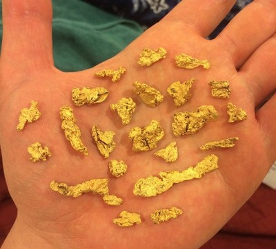 12 Oz. Gold Paydirt Unsearched And Added Gold Panning Alaska Concentrates