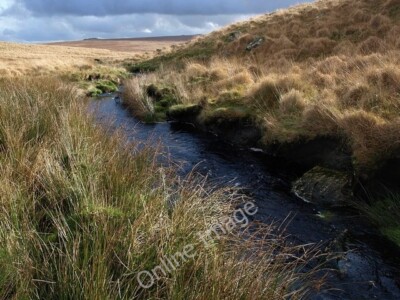 Foto 6x4 West Dart River Flat Tor Der Fluss, nicht mehr als ein Bach am th c2009