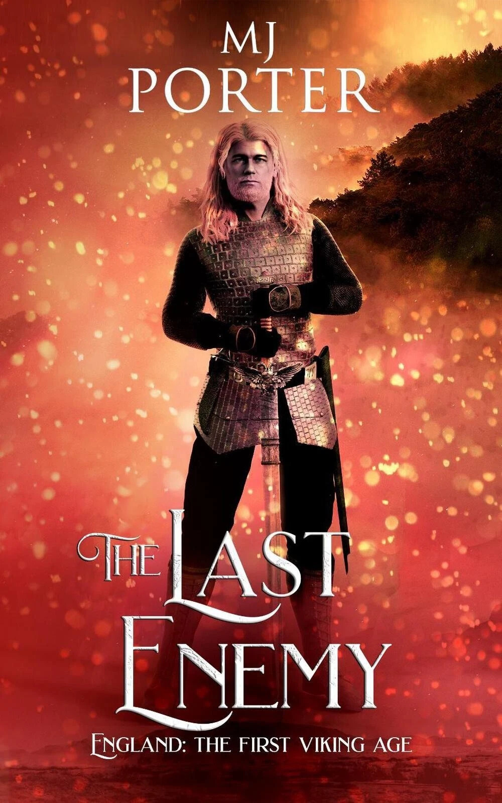 The Last Enemy: England The First Viking Age by MJ Porter Paperback Book Bargain