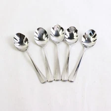 Lot Of 5 Retroneu Jamestown (Stainless) Flatware Sugar Shell Spoons