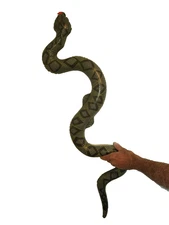 FUTUREPLUSX Inflatable Fake Snake, 3PCS Blow up Snake Animal Pool Floats