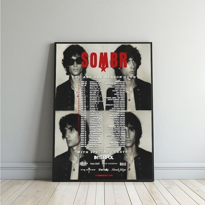 #ad #ad SOMBR You Are The Reason Tour 2026 Poster $18.68