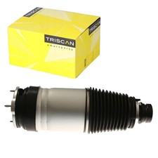 TRISCAN LUFTFEDER-BALG VORNE L/R passend für TESLA MODEL S | 8720 81101