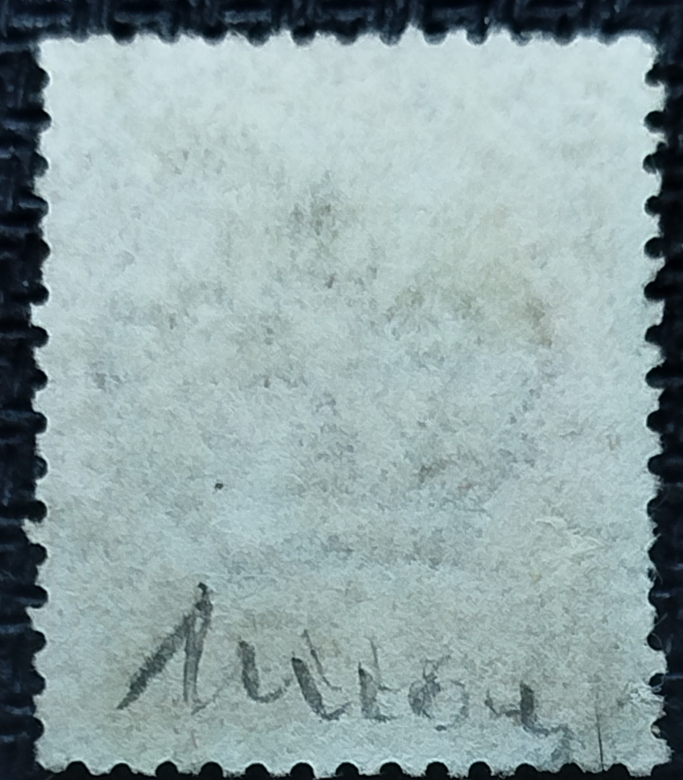 Foto 2 di 2