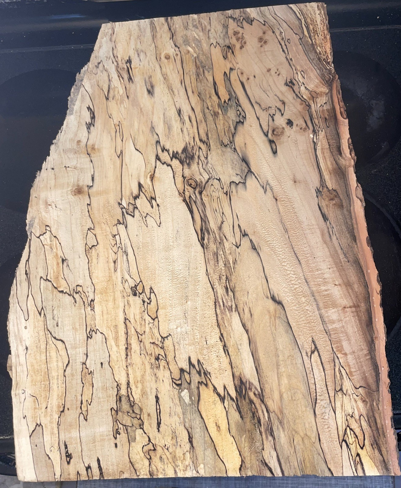 Spalted Maple Live Edge Slab 2048 Natural Wood Tabletop