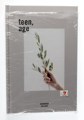 teen, age SEVENTEEN 2nd Album Book CD Stickers and More Bundle