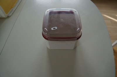 Tupperware Used Box Panoramic View Cakes Biscuits 2 6 Litre Ebay