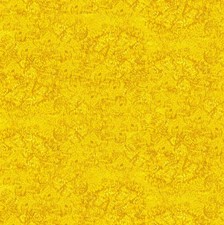 Timeless Treasures Sunflower Symphony Yellow Blender Cotton Fabric by the Yard