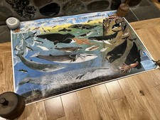 Vintage RARE 1993 NOAA Marine Mammals Of The Western Hemisphere Poster!