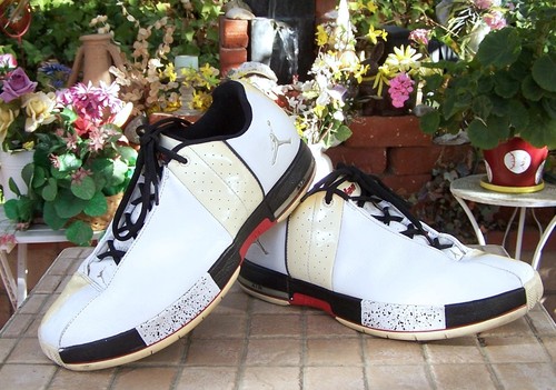jordan team elite 2 white