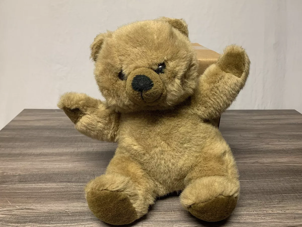 DEX TEDDY BEAR PLUSH STUFFED ANIMAL SLOT FOR WOMB SOUNDS HEARTBEAT