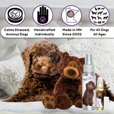 Labradoodle Relax Dog Aromatherapy  Calms Frightened, Anxious Dogs Naturally