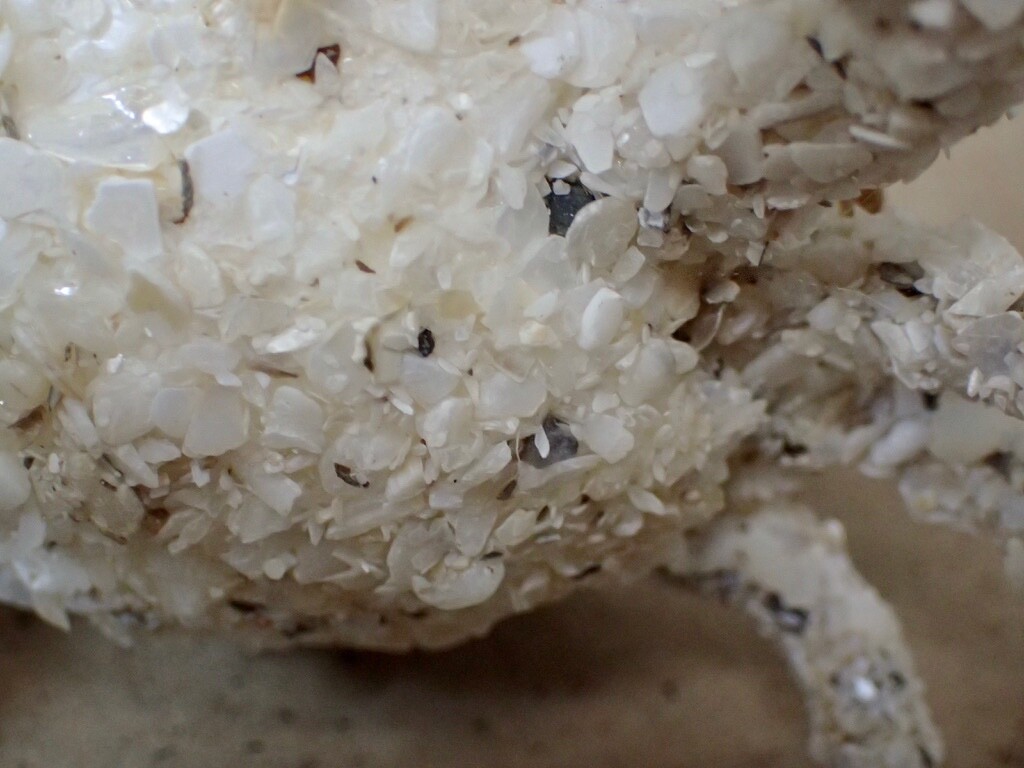 Foto 11 di 12