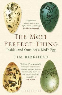 The Most Perfect Thing: Inside (and Outside) a Bird's Egg by Tim Birkhead (Engli