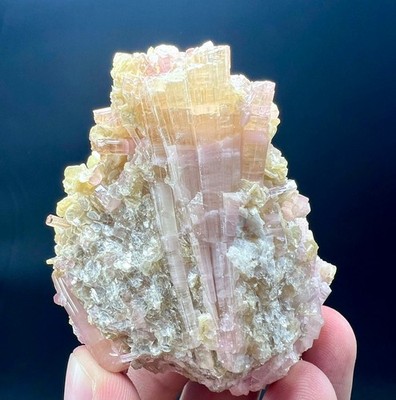 168 Gram Amazing Bi Color Tourmaline Crystals Bunch On Mica Matrix @AFG