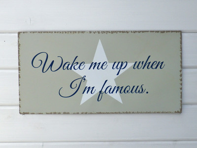 Metallschild WAKE ME UP WHEN I'M FAMOUS Deko Schild Vintage Bild Blechschild 40c