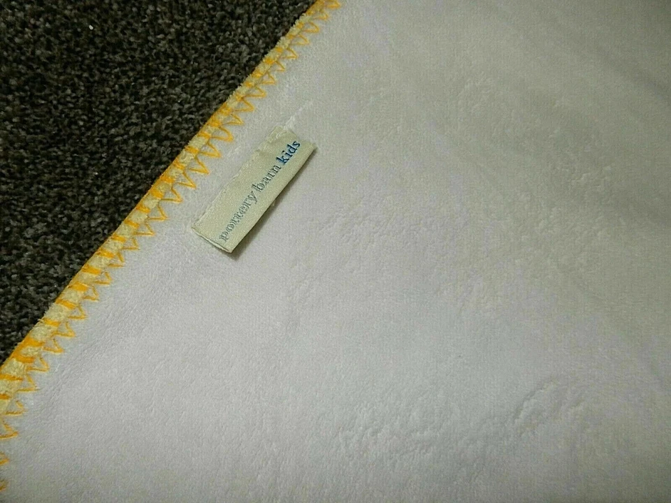 4D RARO 30x40 Pottery Barn Niños Gamuza Terciopelo Felpa Cuna Cochecito de Bebé Manta Foto 3 de 4