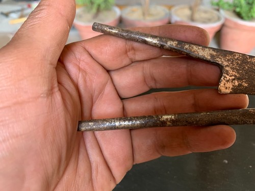 Antico taglia noci Betel tradizionale indiano fatto a mano ferro metallo fatto a mano - Foto 8 di 10