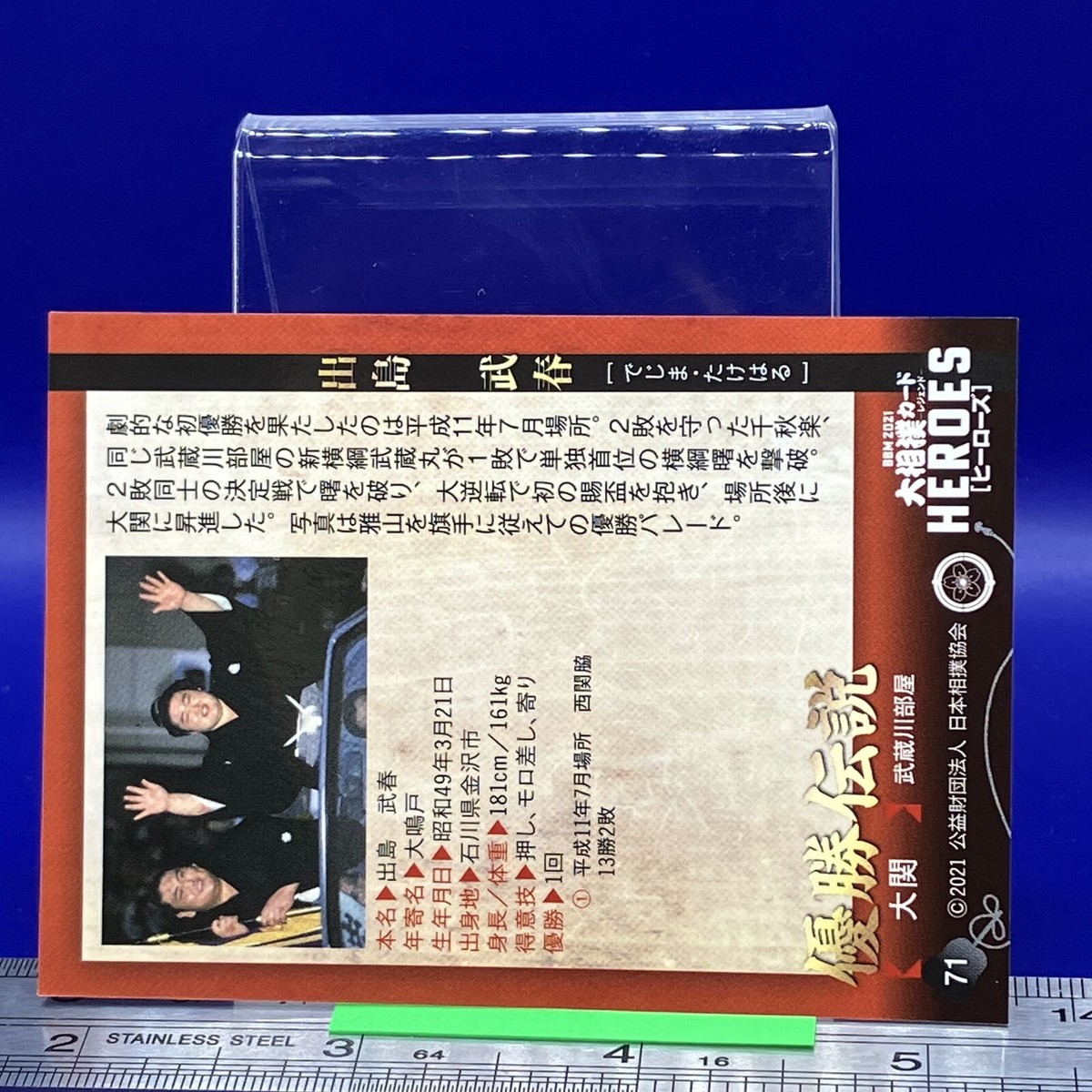 早い者勝ち❣️コレクション　　水墨画　1点 Dejima Takeharu Sumo Wrestler Trading Card Rikishi BBM TCG