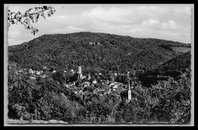 Ansichtskarte Eppstein im Taunus
