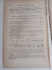 1875 Train Reports DETROIT LANSING & LAKE MICHIGAN RAILROAD Howard City Belden 