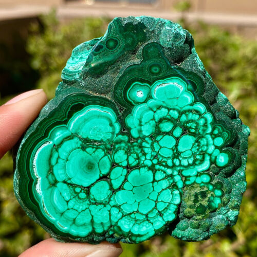 205G Natural peacock stone quartz crystal luster mineral specimen - 第 3/16 張圖片