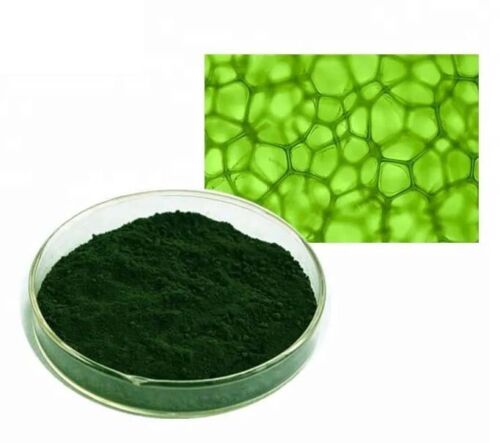 Sodium Copper Chlorophyllin Powder E141 Natural Chlorophyll Green Food Colouring - Picture 3 of 6