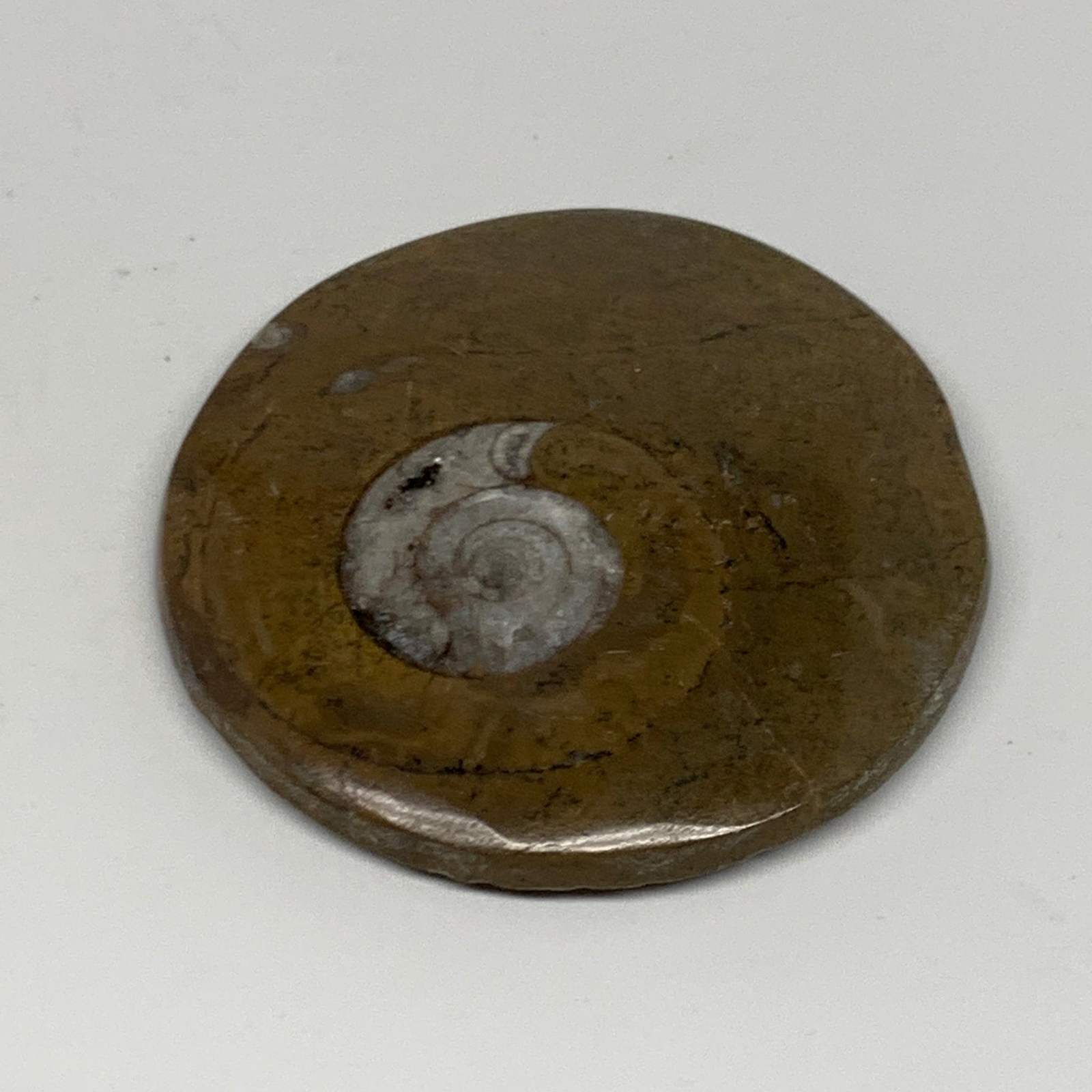 Picture 6 of 8