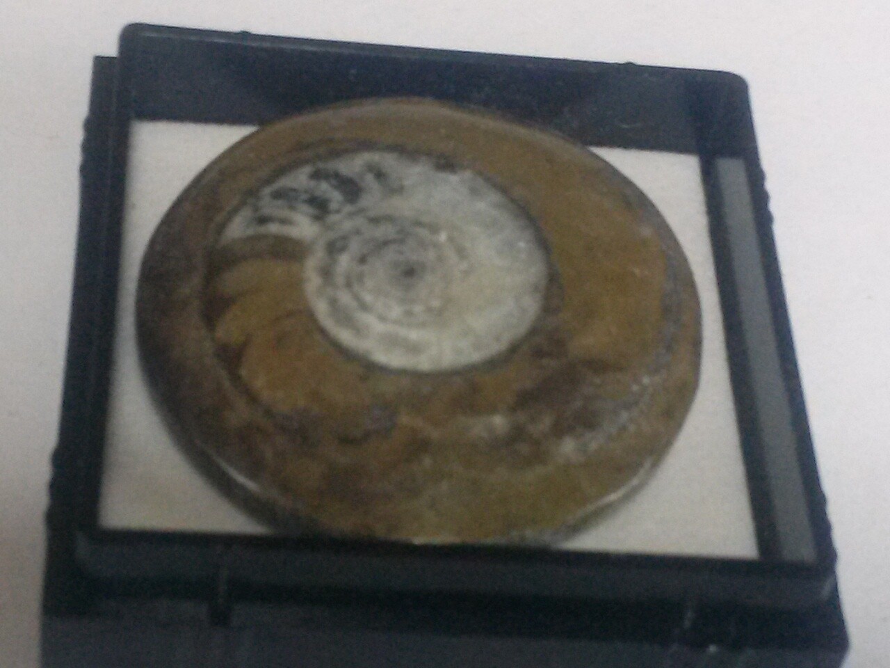 Picture 6 of 9