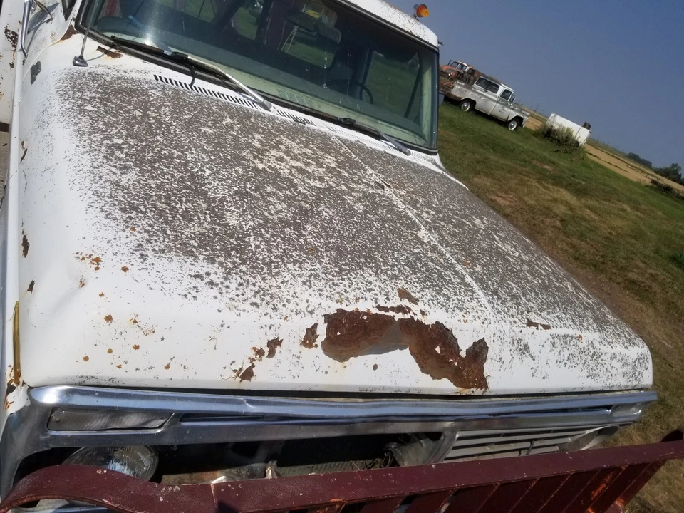 Camioneta Ford Bronco 1974 1975 1976 1977 1978 74 75 76 77 78 F150 F250 capó Foto 2 de 4