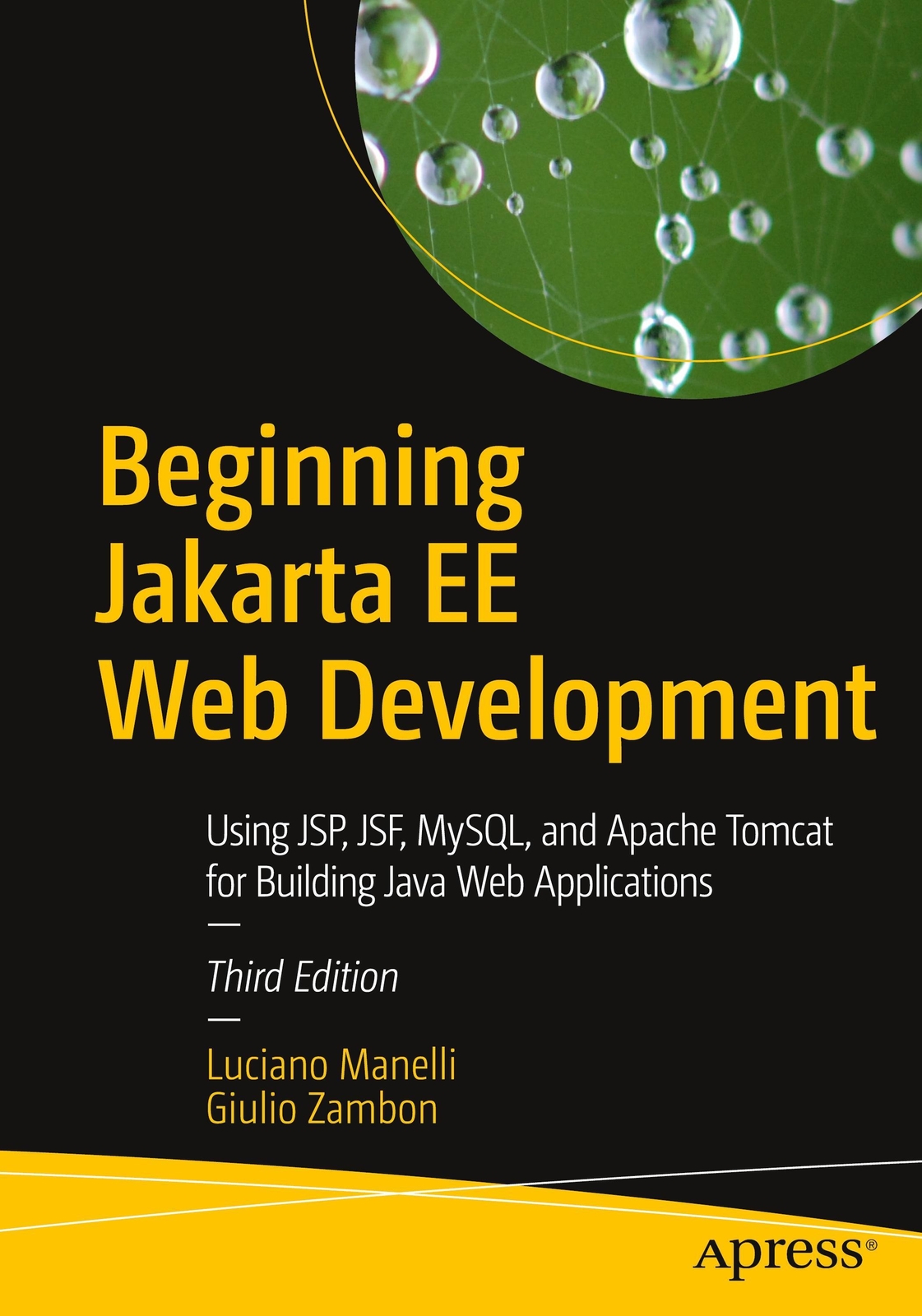 Thumbnail - Beginning Jakarta Ee Web Development Giulio Zambon (u. A.) Taschenbuch